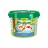 Tetra Pond Wheatgerm Sticks Fish Food (May Vary) (4.4lbs) Food & Treats