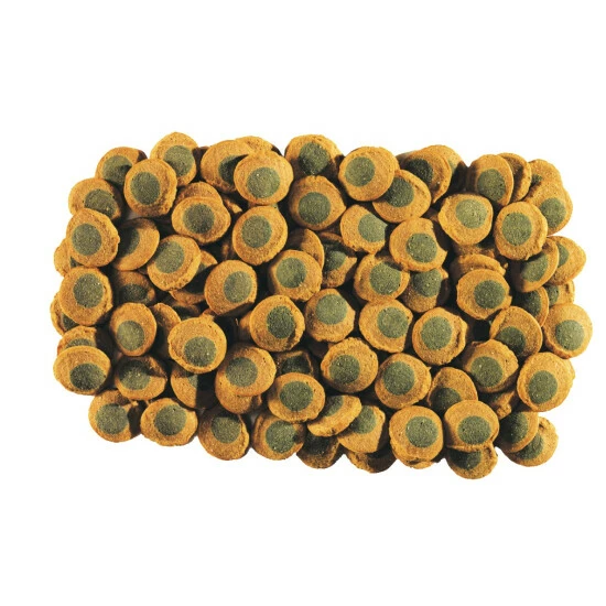Tetra Pleco Multi Wafers (May Vary) (3oz) Food & Treats 1 Tetra Pleco Multi Wafers (May Vary) (3oz) Food & Treats