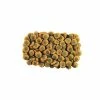 Tetra Pleco Multi Wafers (May Vary) (1.5oz) Food & Treats