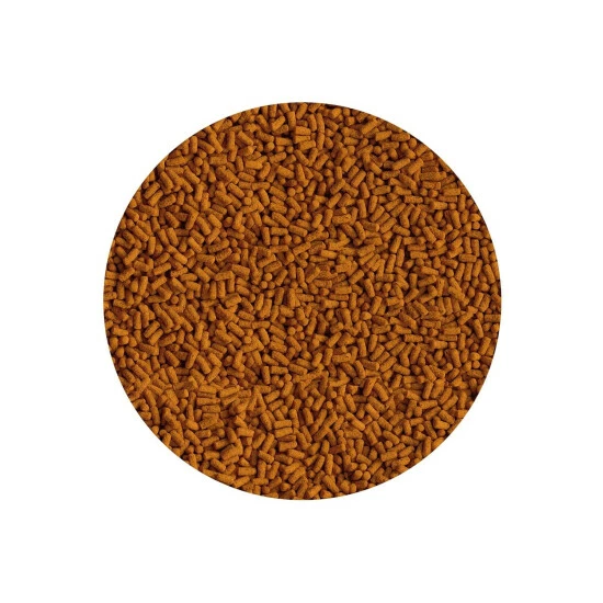 Tetra Pond Koi Color & Growth Sticks Fish Food (May Vary) (One Size) Food & Treats 1 Tetra Pond Koi Color & Growth Sticks Fish Food (May Vary) (One Size) Food & Treats